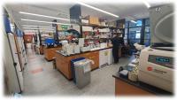 photo of Gorelik lab
